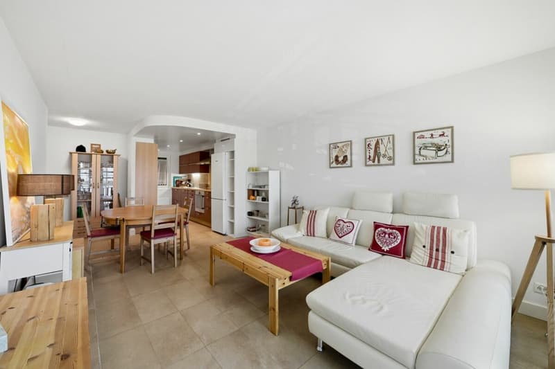 Appartement de charme de 66m2 entièrement rénové avec goût (2)