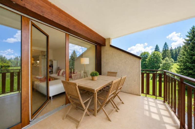 Appartement de charme de 66m2 entièrement rénové avec goût (7)