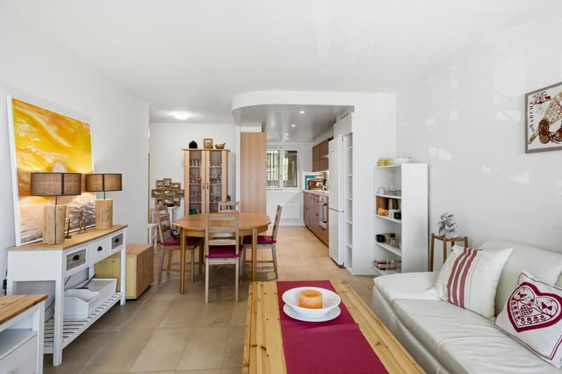 Appartement de charme de 66m2 entièrement rénové avec goût (3)
