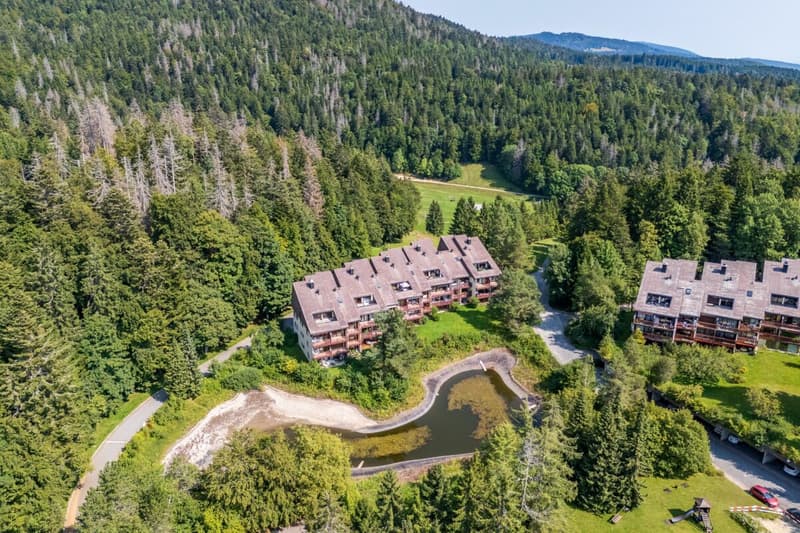 Appartement de charme de 66m2 entièrement rénové avec goût (11)