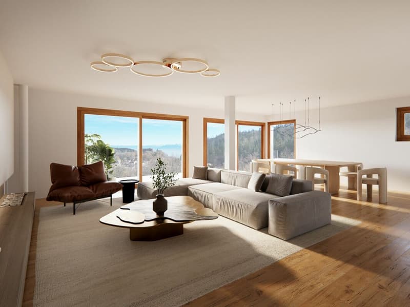Duplex 5.5 pièces avec vue sur les Alpes Lot 3 (3)