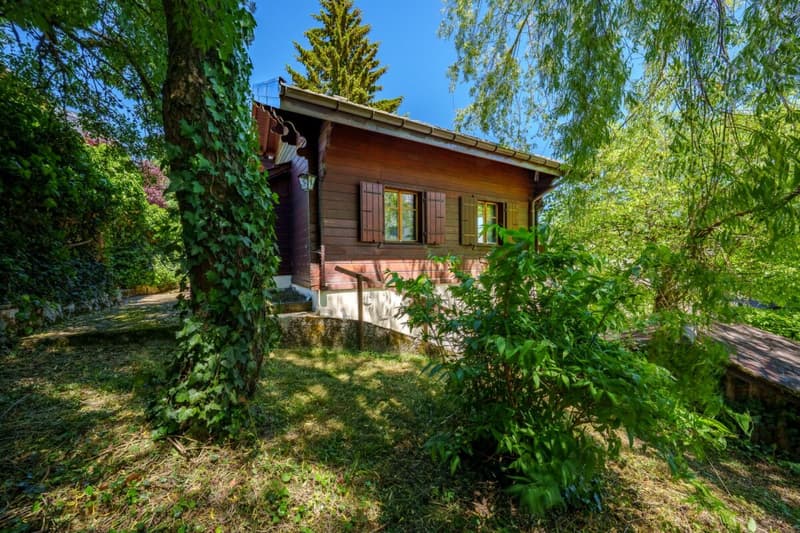 Un chalet individuel et authentique à réinventer (4)
