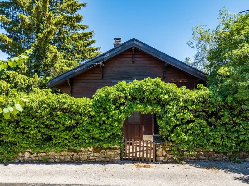 Un chalet individuel et authentique à réinventer (1)