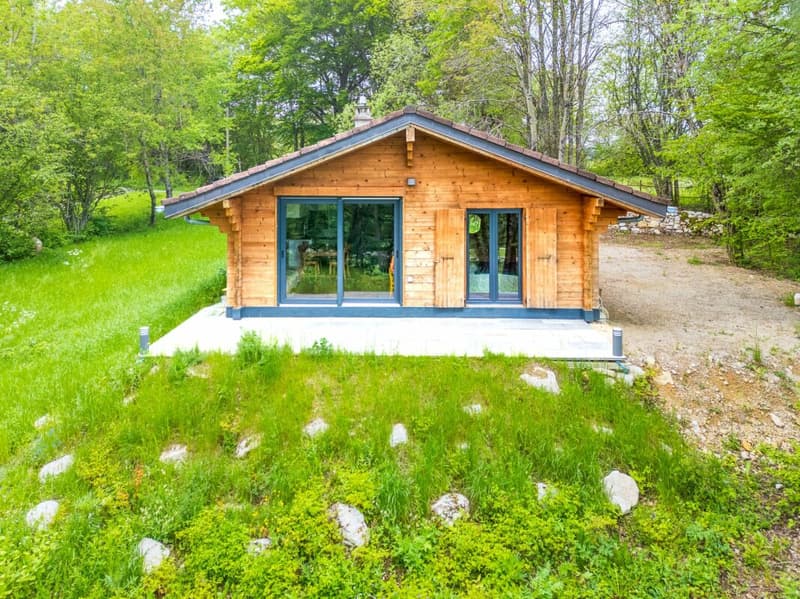 Le chalet dont vous rêviez (9)