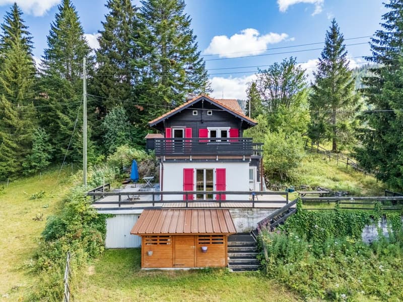 Un chalet où nature, calme et authenticité se rencontrent. (1)