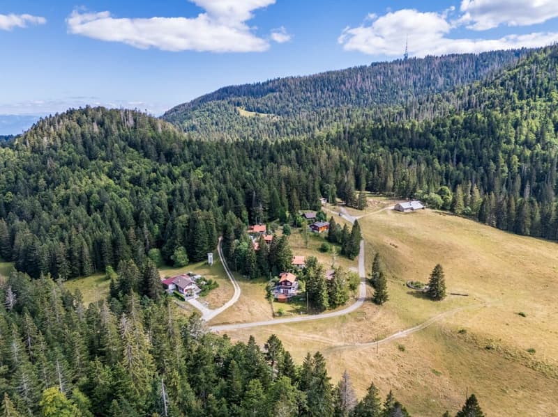 Un chalet où nature, calme et authenticité se rencontrent. (12)