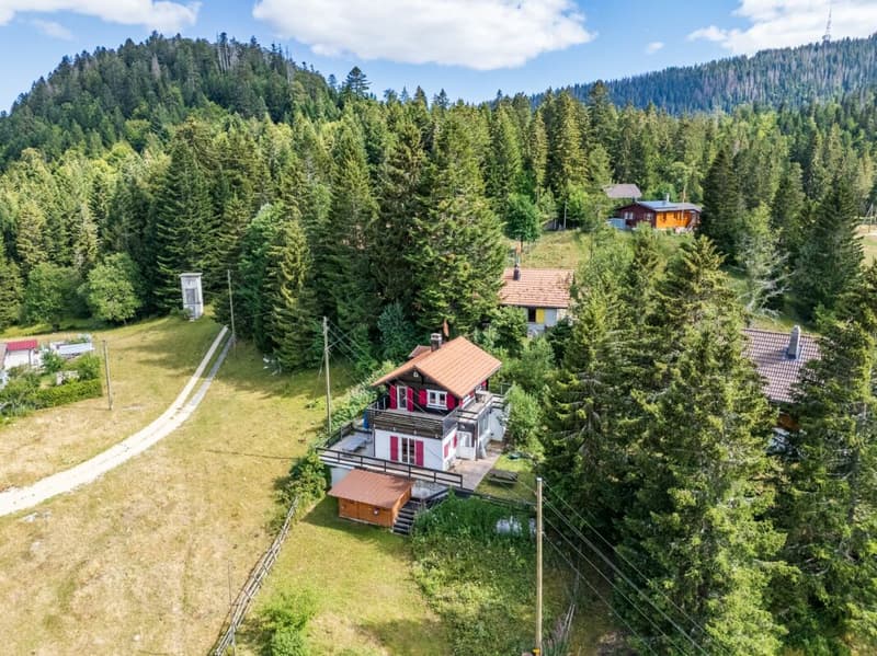 Un chalet où nature, calme et authenticité se rencontrent. (3)