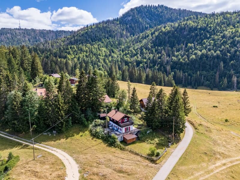 Un chalet où nature, calme et authenticité se rencontrent. (2)