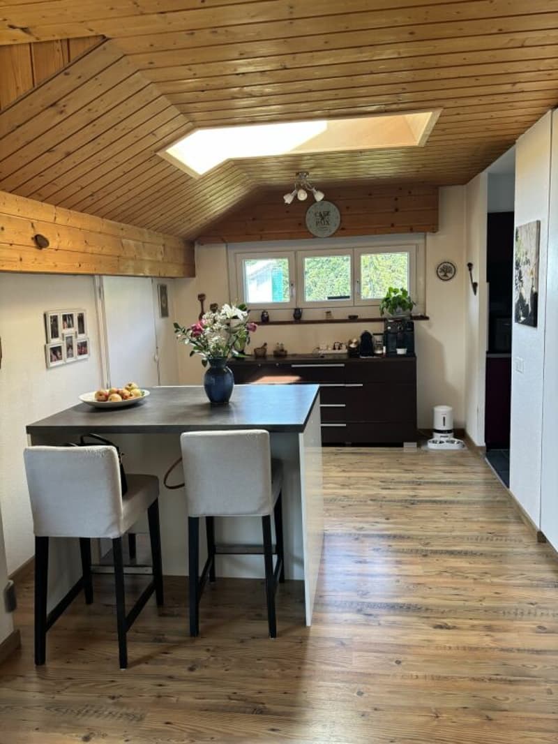 Superbe duplex baigné de lumière (6)