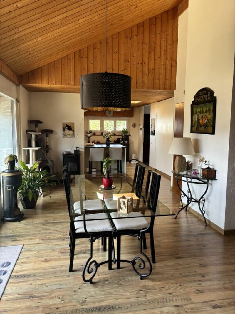 Superbe duplex baigné de lumière (5)