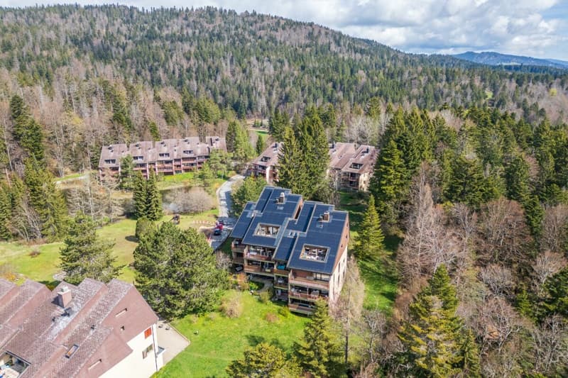 Superbe duplex baigné de lumière (3)