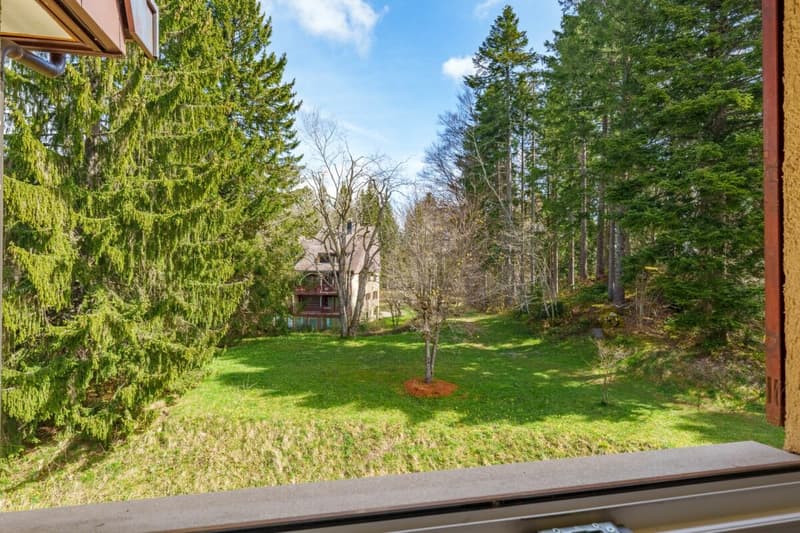 Duplex de 140 m² en dernier étage avec 3 chambres, terrasse et forêt (8)