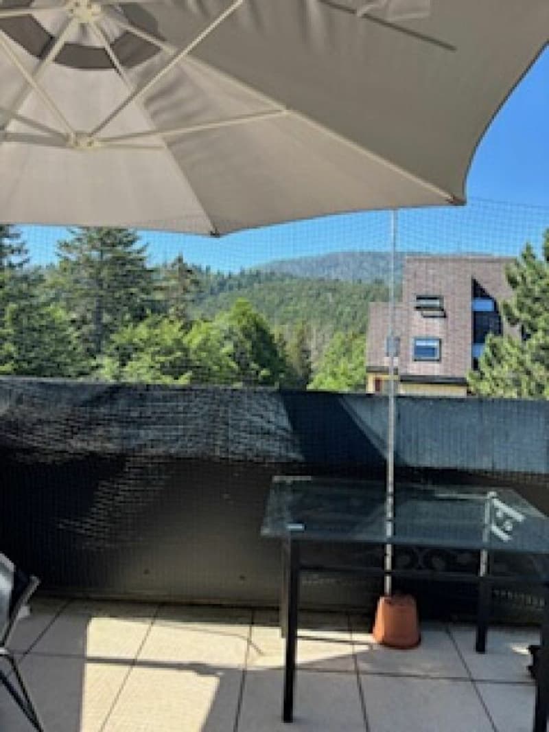 Duplex de 140 m² en dernier étage avec 3 chambres, terrasse et forêt (19)