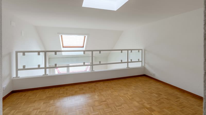 Mezzanine : 1ère pièce