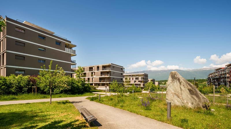 Zone piétonne et espace vert