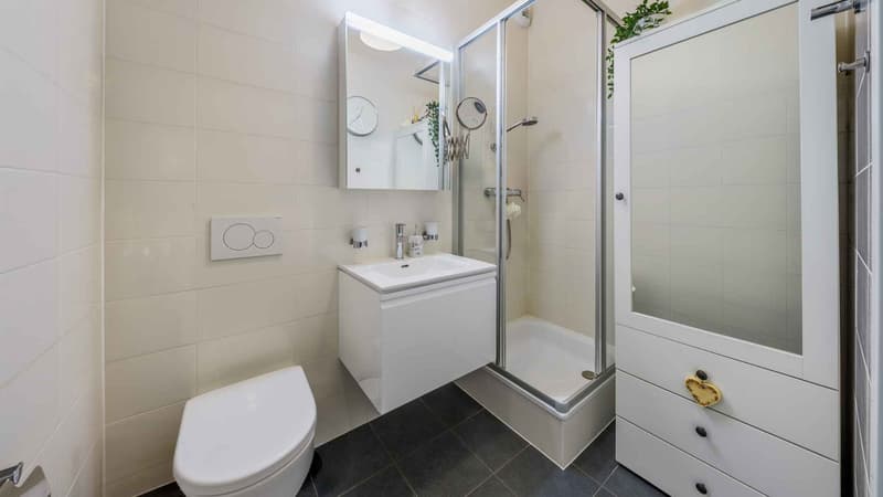 Salle de douche avec toilettes