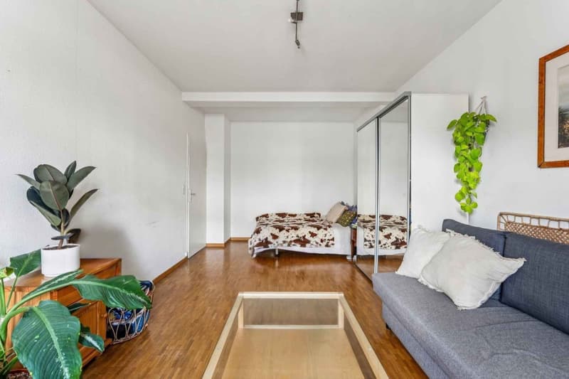 En exclusivité :  Genève - La Jonction                                                                                        Appartement de 2 pièces (4)