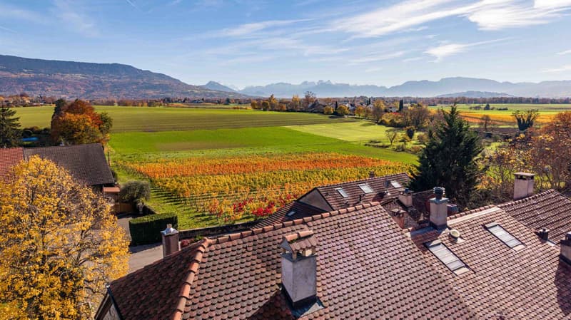 Vue sur les alpes et les vignes avoisinantes