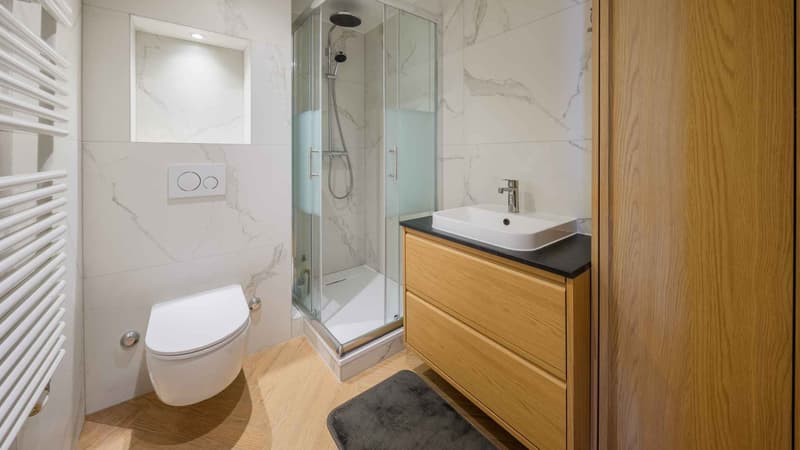 Salle de douche avec toilettes