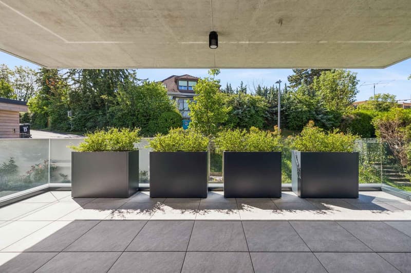 La terrasse