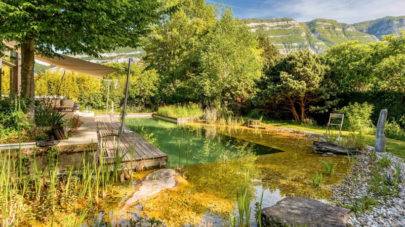 Terrasse et piscine naturelle