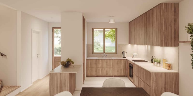 Saules Blancs  Maison villageoise d'exception (3)