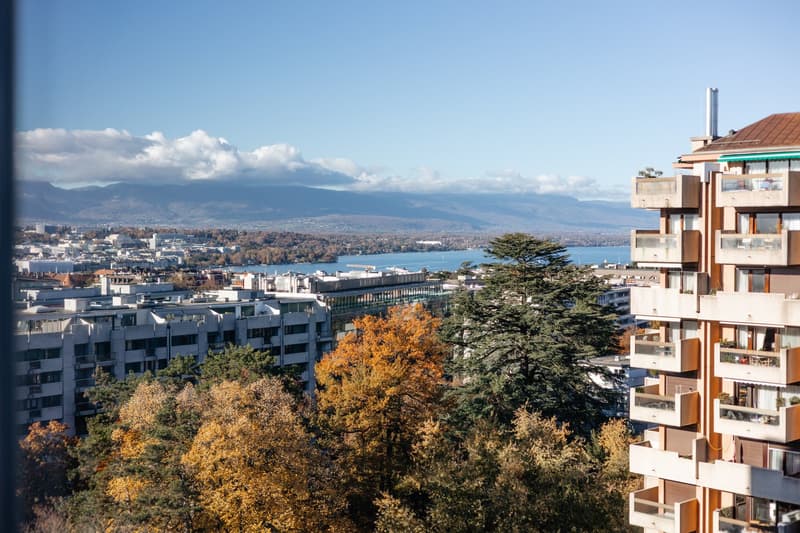Magnifique duplex dans un immeuble de prestige (2)