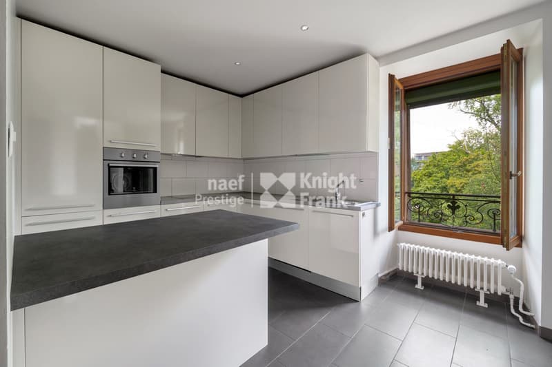 Rare : maison de maître rénovée, 3 appartements ou villa familiale (8)