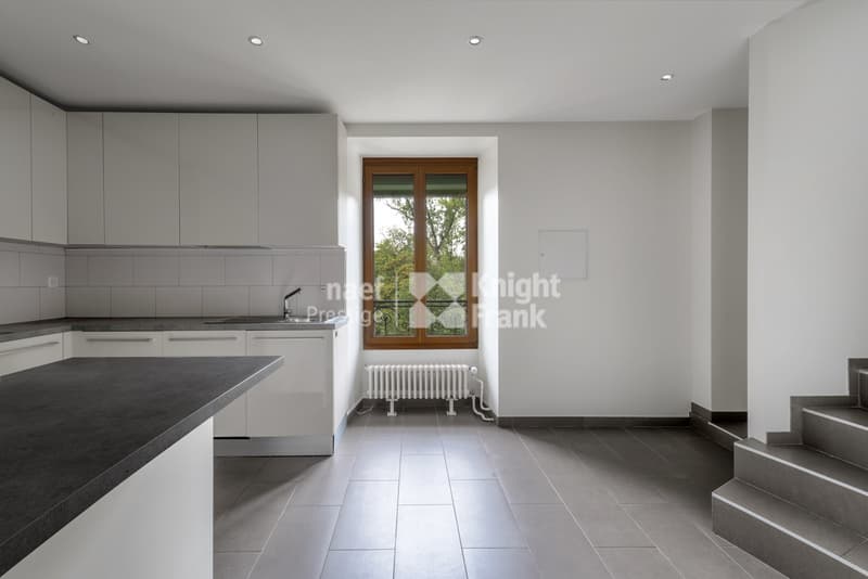 Rare : maison de maître rénovée, 3 appartements ou villa familiale (9)