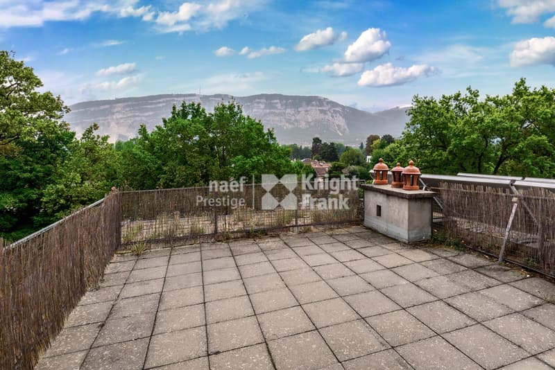 Rare : maison de maître rénovée, 3 appartements ou villa familiale (11)