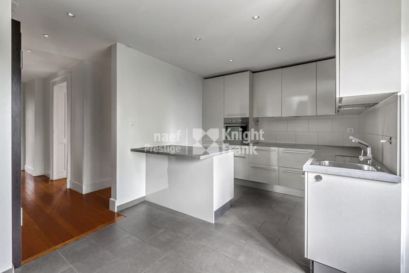 Rare : maison de maître rénovée, 3 appartements ou villa familiale (7)