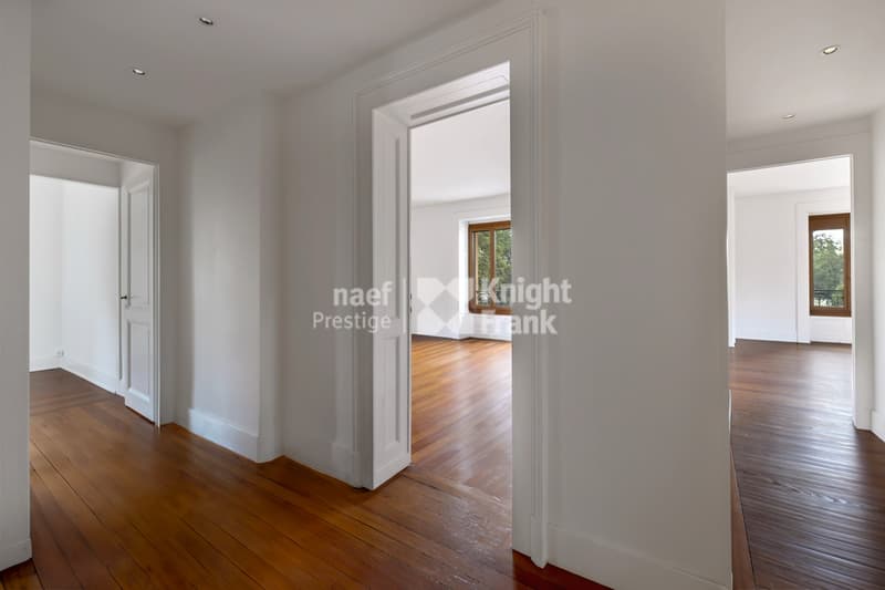 Rare : maison de maître rénovée, 3 appartements ou villa familiale (3)
