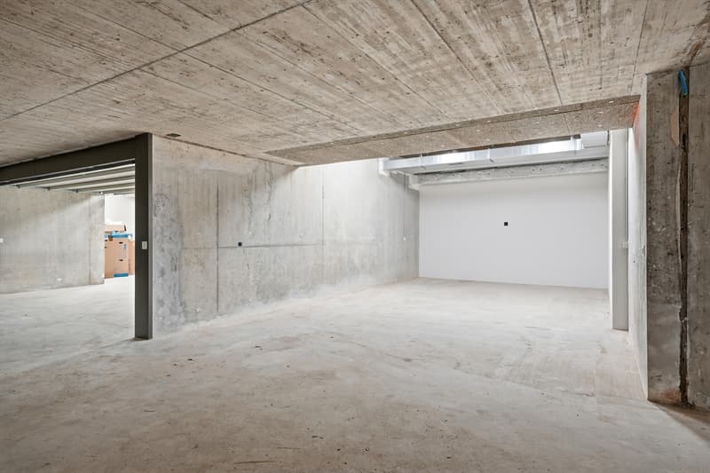 Villa Verde | Genève centre-ville (13)