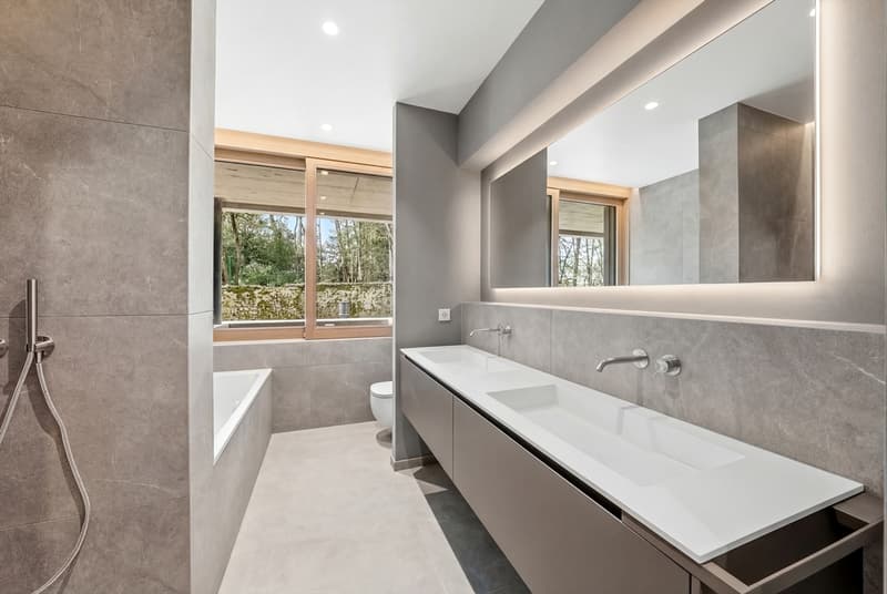 Villa Verde | Genève centre-ville (7)