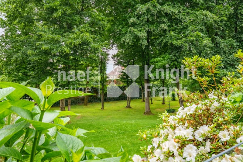 Parc arboré