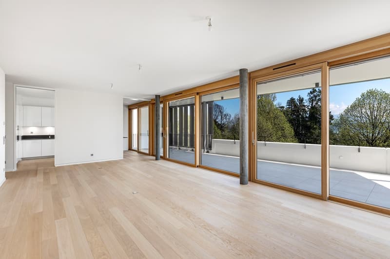 Appartement neuf de 5 pièces avec terrasse en rooftop (5)