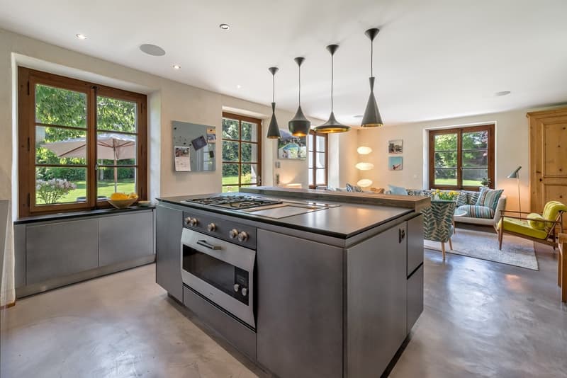 Modernité et luxe pour cette ferme entièrement rénovée. (5)