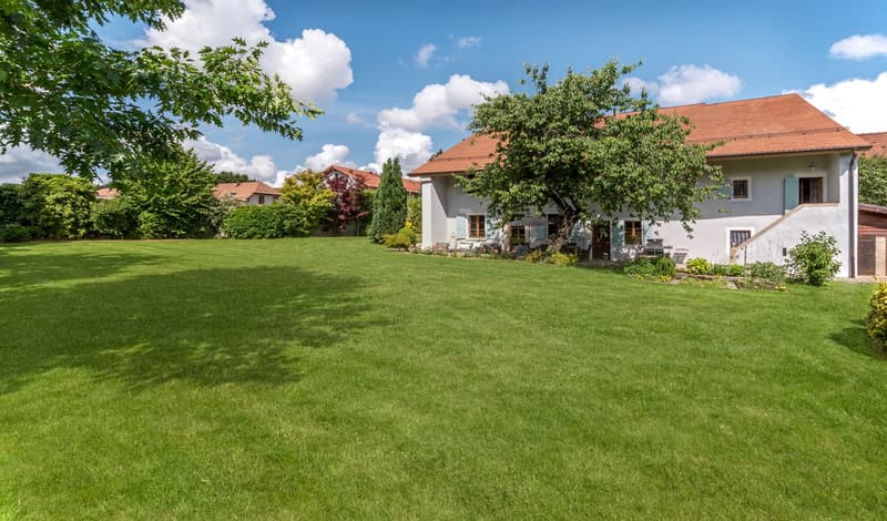 Modernité et luxe pour cette ferme entièrement rénovée. (11)