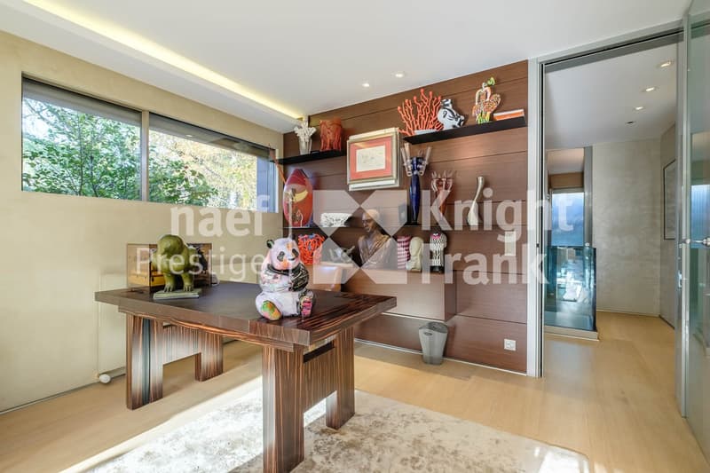 Villa contemporaine à Cologny (4)