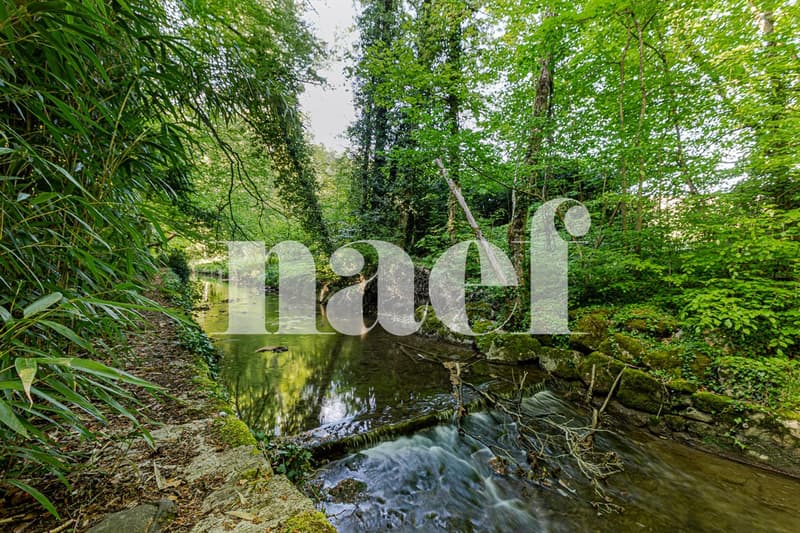 Élégant duplex avec double hauteur et parc arboré dans une résidence de prestige (12)