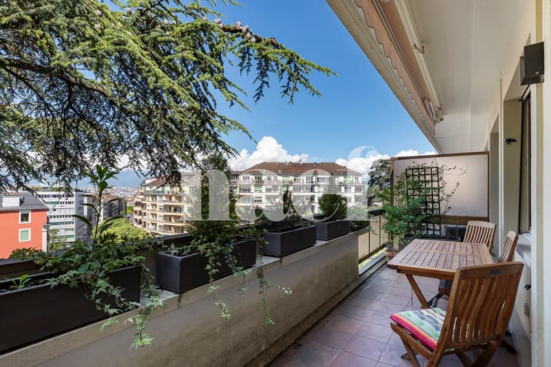 Bel appartement de 3 pièces à proximité immédiate de la gare des Eaux-Vives (1)