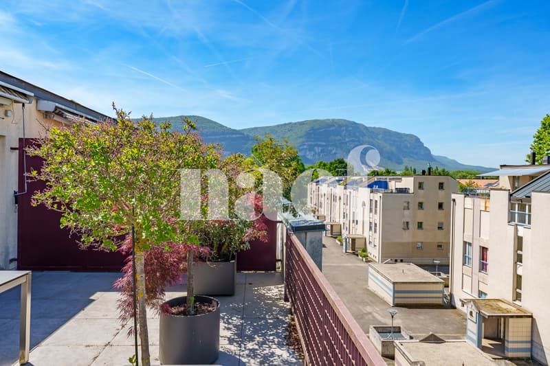 Bel appartement familial avec quatre chambres (1)
