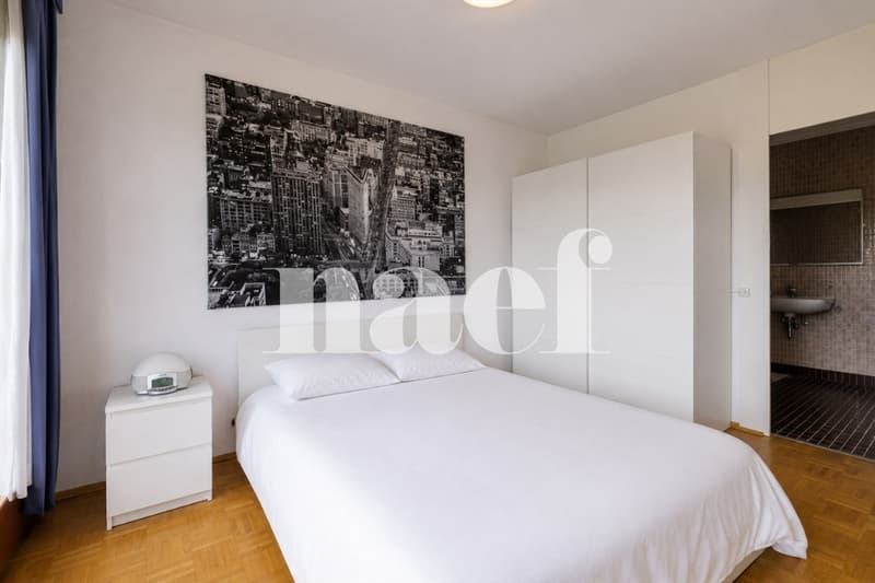 Petit-Saconnex - Appartement lumineux avec vue dégagée à deux pas des organisations Internationales (5)