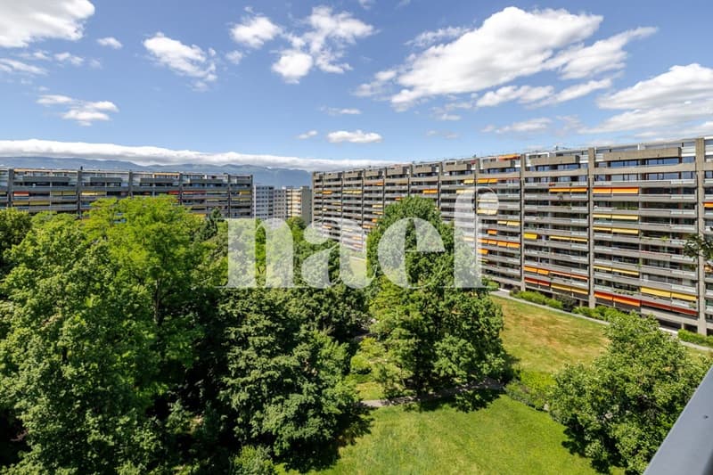 Petit-Saconnex - Appartement lumineux avec vue dégagée à deux pas des organisations Internationales (9)