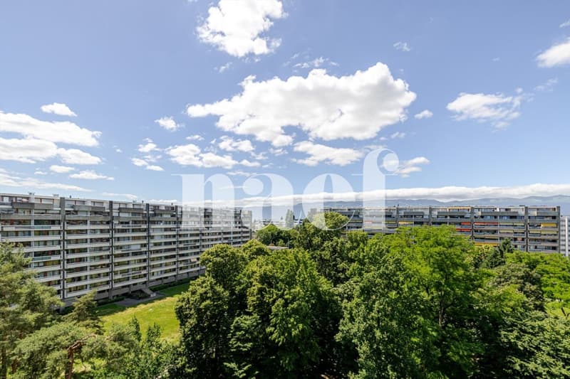 Petit-Saconnex - Appartement lumineux avec vue dégagée à deux pas des organisations Internationales (8)