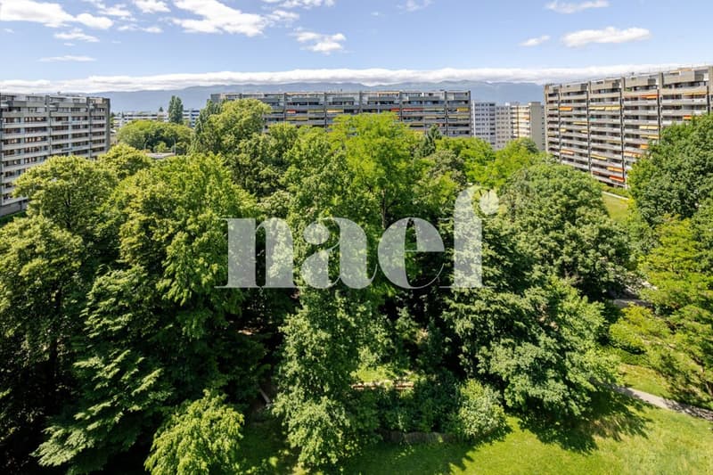 Petit-Saconnex - Appartement lumineux avec vue dégagée à deux pas des organisations Internationales (10)
