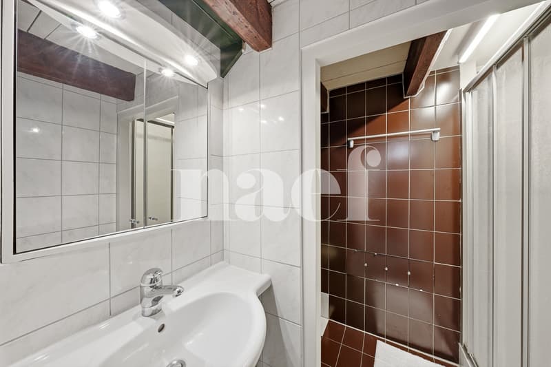 Salle de douche avec toilettes