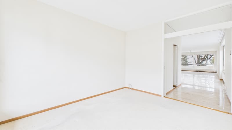 Champel : Superbe Appartement de 7 Pièces avec Loggias (10)