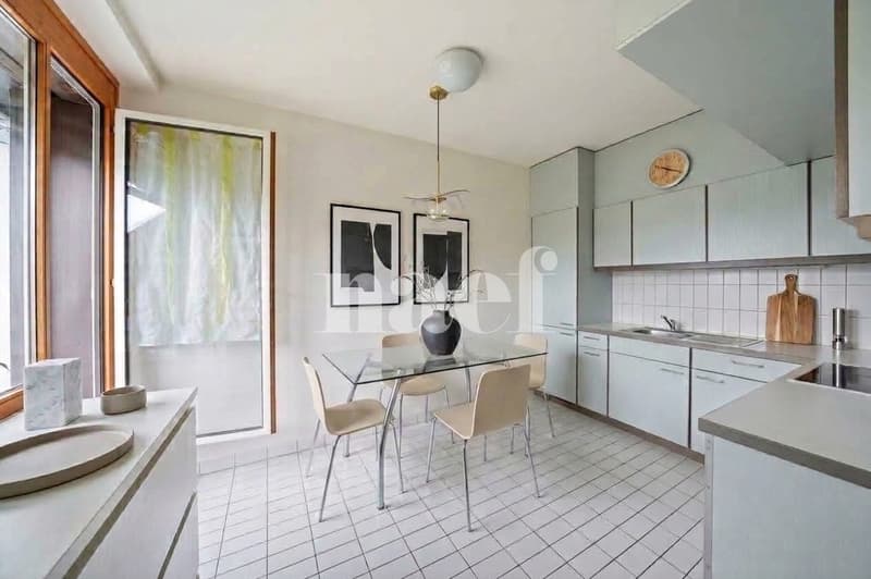 Appartement lumineux au 6 ème étage avec une belle terrasse (6)