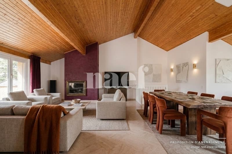 Chêne-Bougeries ? Spacieux duplex de 230 m² dans une résidence avec parc privé (2)